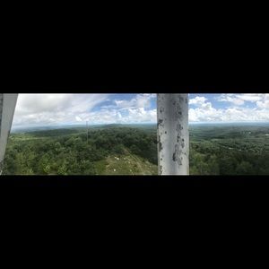 Meet your Posher, Bella